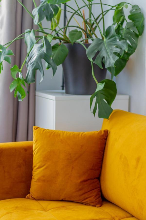 Central Studio @ Jaszai Mari Square Budapest Ngoại thất bức ảnh